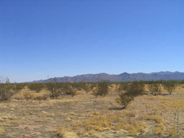 238 W Jomax Rd. #N/A, Surprise, AZ 85361