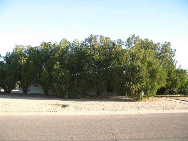 6842 W Nancy Rd., Peoria, AZ 85382