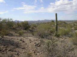 E Stonehedge Ranch Rd. #4, Wickenburg, AZ 85390