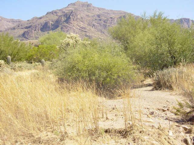 E Vista Del Cielo Rd. #8M, Gold Canyon, AZ 85218