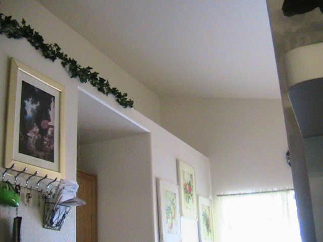 1124 W Nancy Ln., Phoenix, AZ 85041