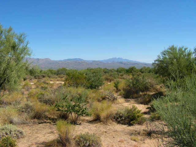 29800 N 164 Th St., Scottsdale, AZ 85262