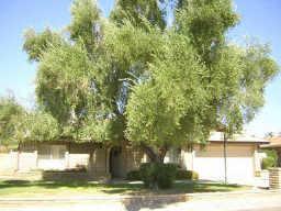 6506 S Cole Dr., Tempe, AZ 85283
