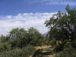 N 166th St., Scottsdale, AZ 85262