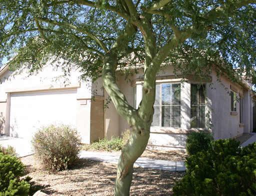 40820 N Apollo Way, Anthem, AZ 85086