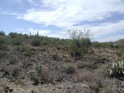 49 N 25th Ave. #47, New River, AZ 85087