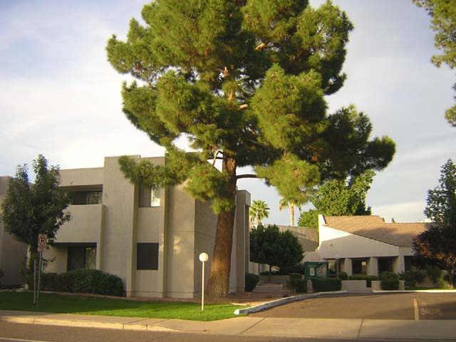 1920 W Lindner Ave. #229, Mesa, AZ 85202