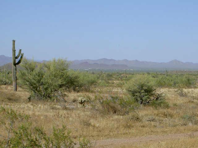 29200 W Carefree Hwy #14, Buckeye, AZ 85361