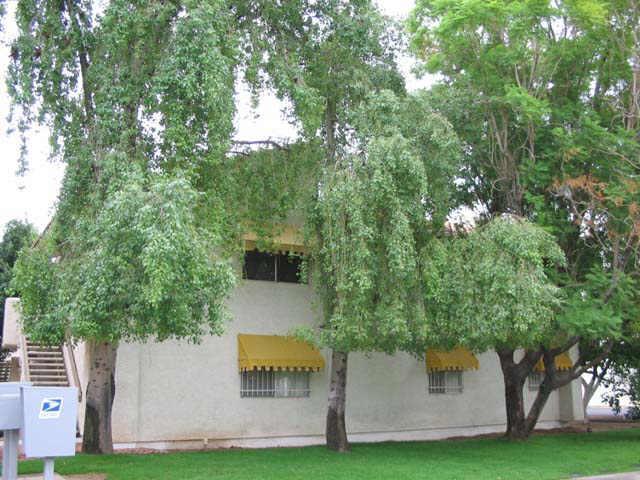 8841 N 8th St. #210, Phoenix, AZ 85020