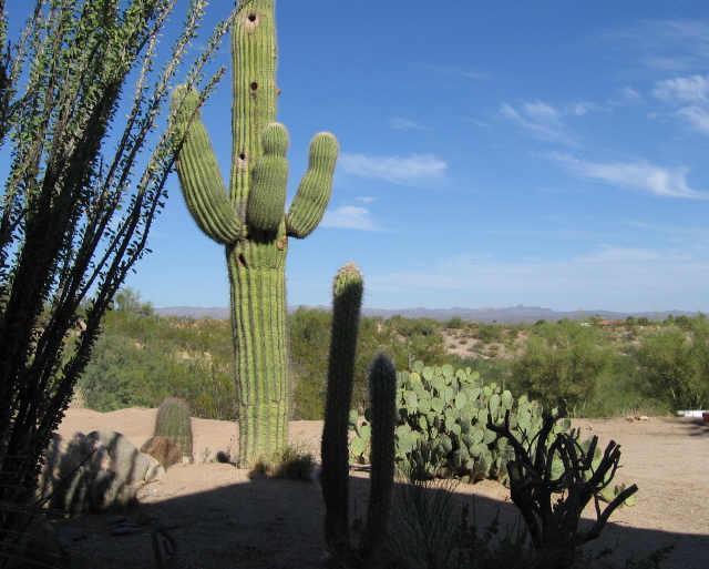 33033 W Palos Verdes Dr., Wickenburg, AZ 85390