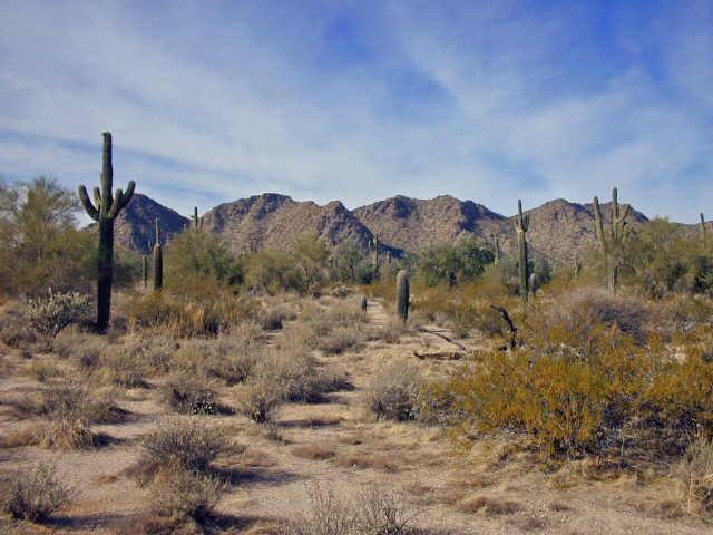 N Coyote Ter. #None, Maricopa, AZ 85239