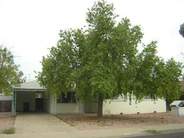 46 W 11 Dr., Mesa, AZ 85210