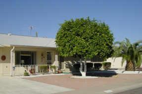 17206 N Appaloosa Dr., Sun City, AZ 85373