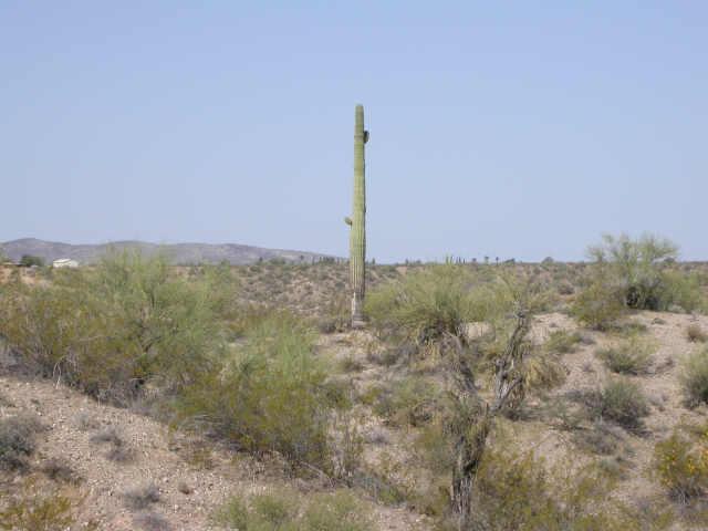 S Grantham Ranch St. #13A4, Wickenburg, AZ 85390