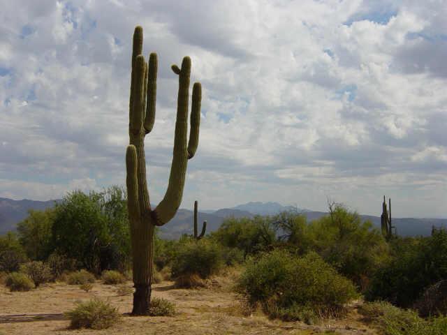 30 N 172nd St. #2, Scottsdale, AZ 85262