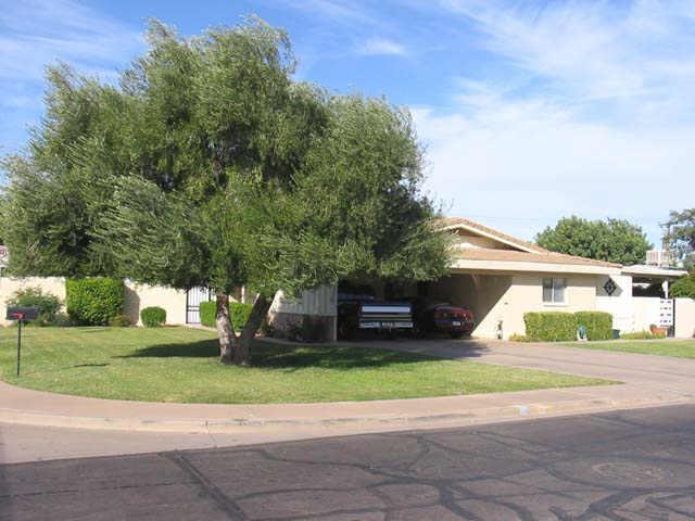 2366 E Brown Rd., Mesa, AZ 85213