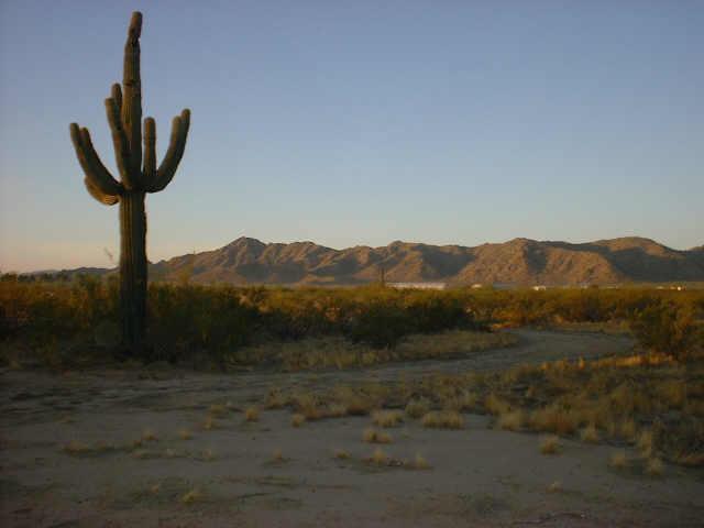 W Dees Ln. #18, Maricopa, AZ 85239