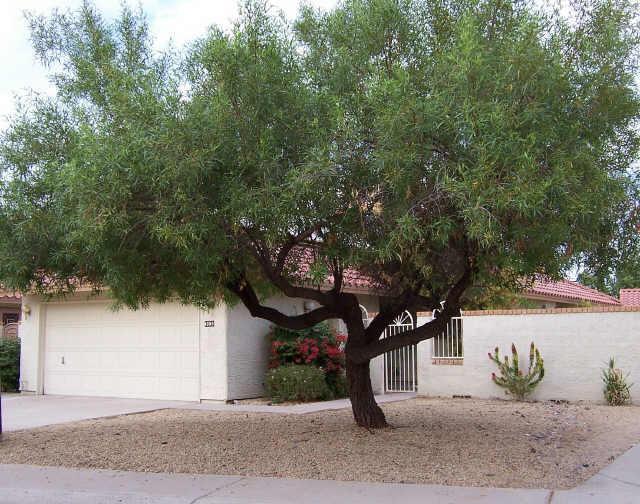 4358 E Sandia St., Ahwatukee, AZ 85044