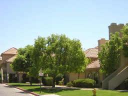 1211 N Miller St. #225, Scottsdale, AZ 85257