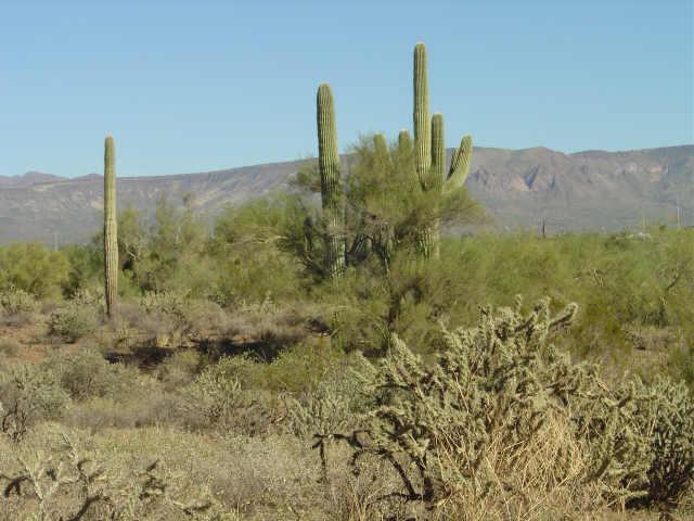 10 W Honda Bow Rd. #3, New River, AZ 85087