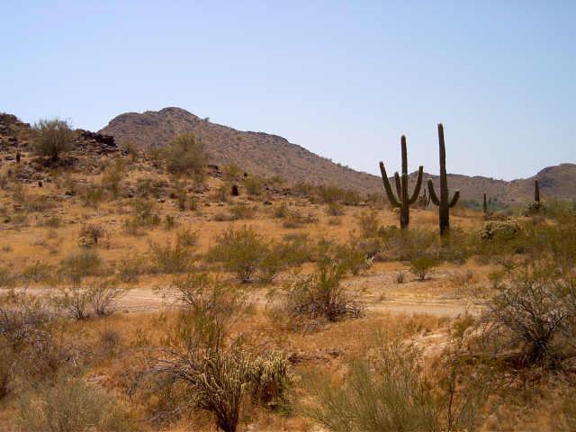 143 W Oberlin - Parcel 1 Lot A Ave. #A, Surprise, AZ 85387