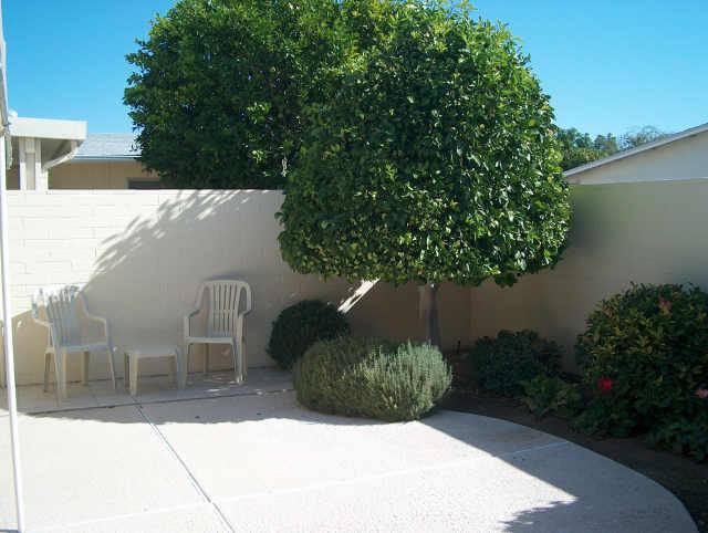 17615 N 102nd Dr., Sun City, AZ 85373