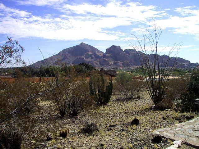 6855 N 46th St. #1, Paradise Valley, AZ 85253