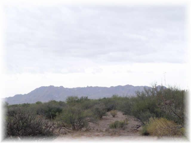 30600 N 152 St. #-, Scottsdale, AZ 85262