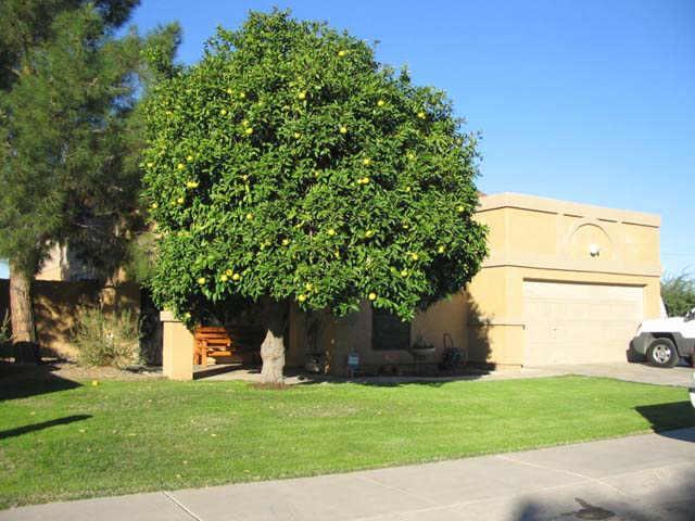 6716 N 74th Dr., Glendale, AZ 85303