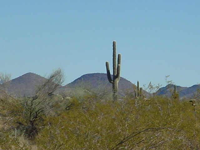 15100 W Dale Rd. #3, Surprise, AZ 85387