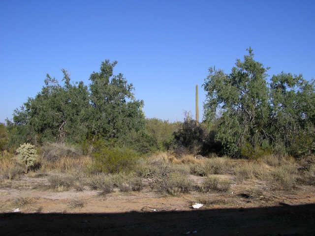 12351 N Alma Ln., Florence, AZ 85232