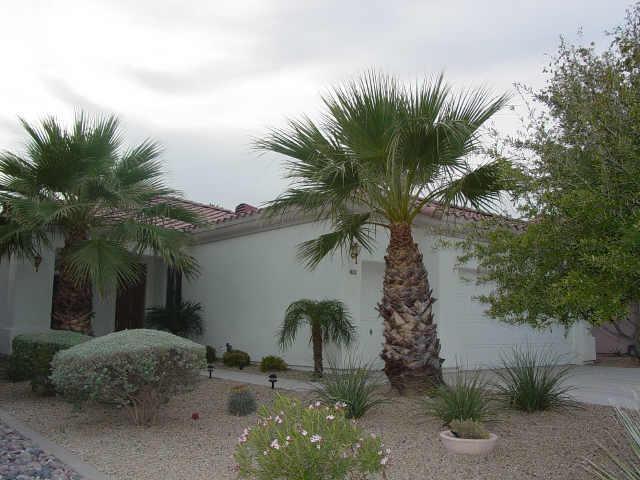 14121 W Greenview Cir., Litchfield Park, AZ 85340