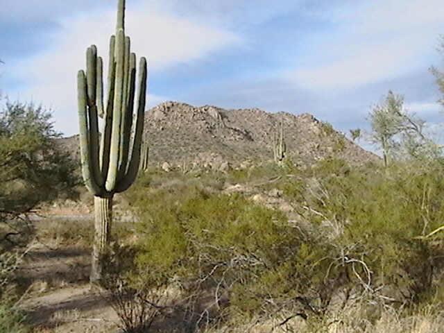 32905 N N 136th St. Rioverde/scott St. #1, Rio Verde, AZ 85262