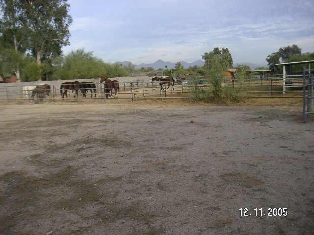 4020 E Via Estrella Rd., Phoenix, AZ 85028