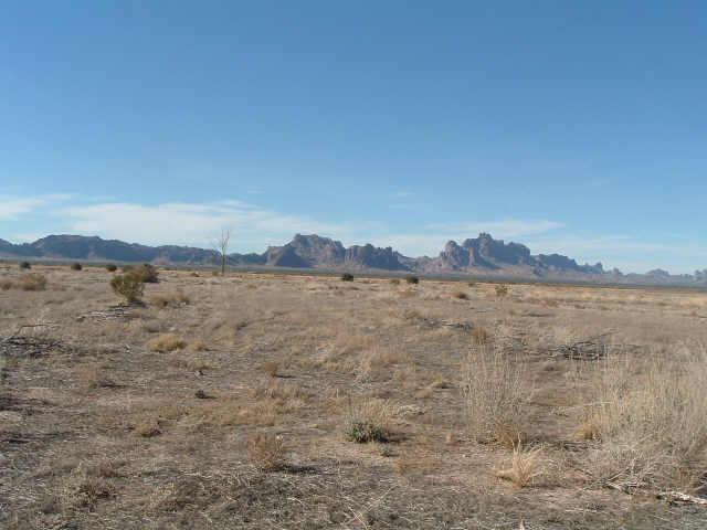 76 S 539th Ave. #249, Tonopah, AZ 85354