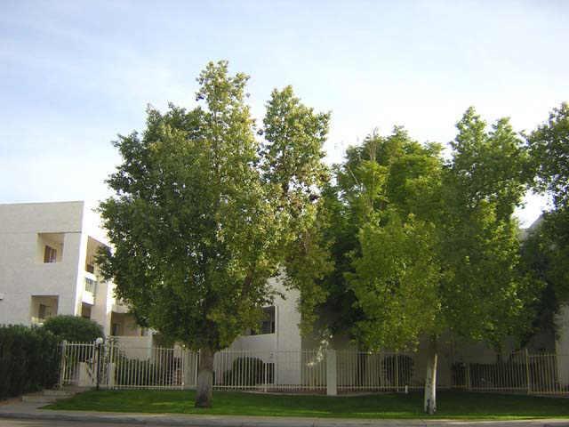 7474 E Earll Dr. #103, Scottsdale, AZ 85251