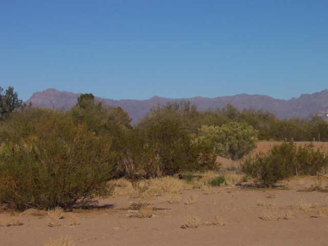 23005 E Ivanhoe St. #4, Mesa, AZ 85212