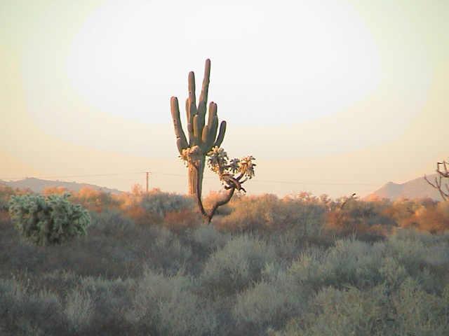 E Pattee Rd., Lot B, #B, Florence, AZ 85232