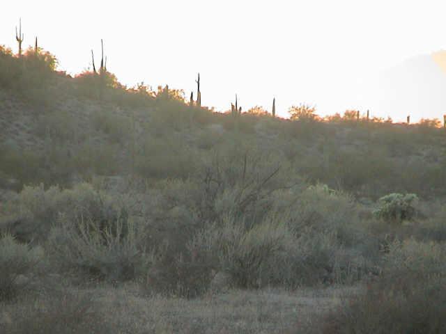 E Pattee Rd., Lot D, #D, Florence, AZ 85232