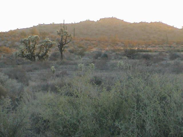E Pattee Rd., Lot E, #E, Florence, AZ 85232