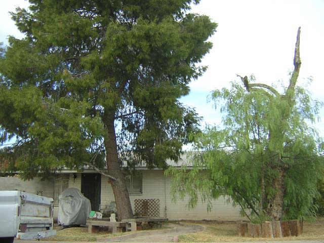 2026 E 10th St., Tempe, AZ 85281