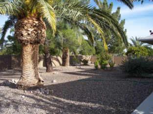 18002 N Organ Pipe Dr., Sun City, AZ 85373