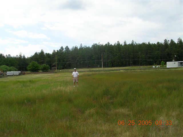 2413 S Jan Ln. #60, Pinetop, AZ 85935