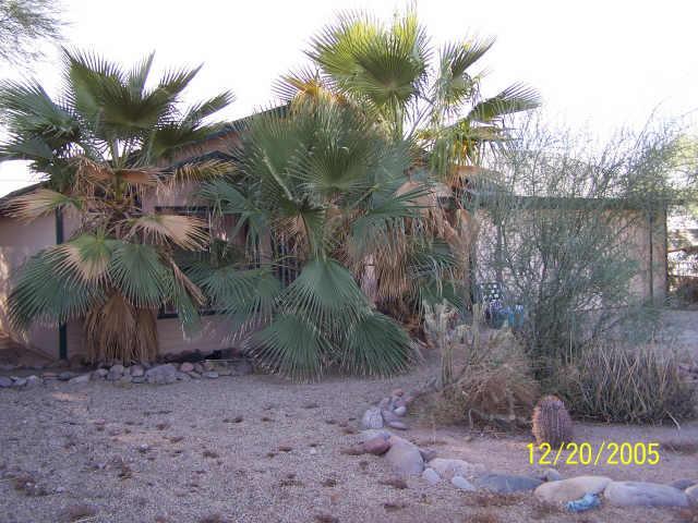 441 E Desert Ave., Apache Junction, AZ 85219