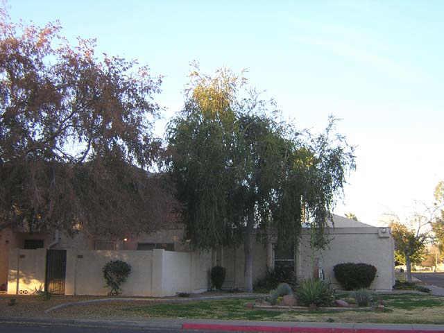 1342 W Emerald Ave. #386, Mesa, AZ 85202