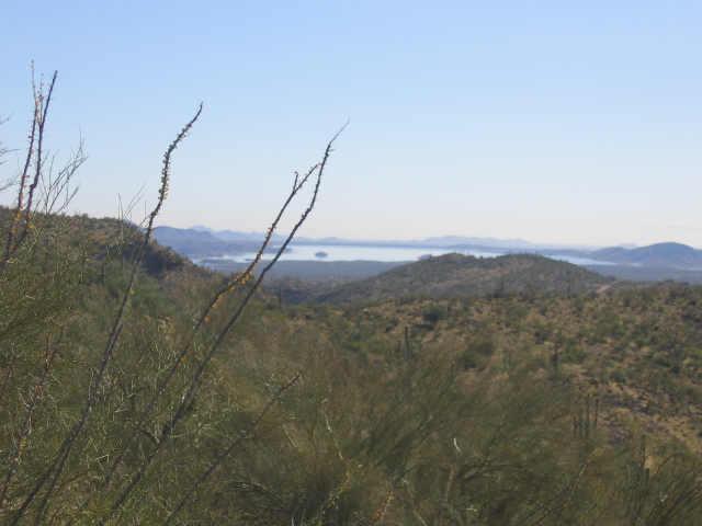 N Cow Creek Rd. #57b, Morristown, AZ 85342