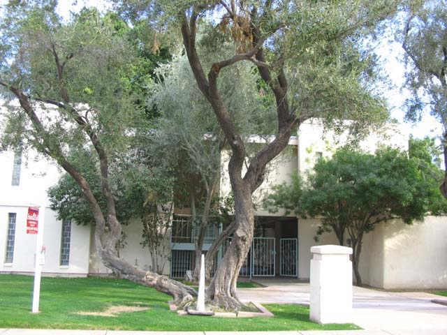 4615 N 22nd St. #102, Phoenix, AZ 85016