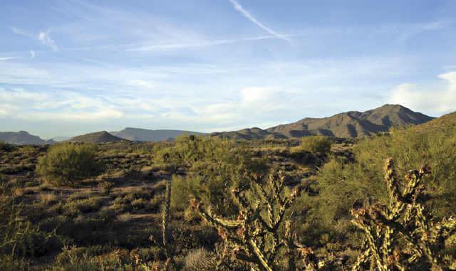 37775 N 93rd St. #138, Scottsdale, AZ 85262