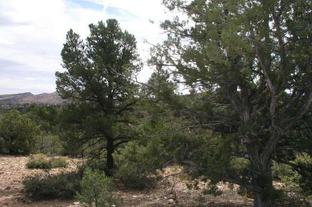 Road 2 South #D, Prescott, AZ 86305