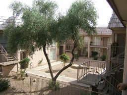 425 E Brown Rd., Mesa, AZ 85203